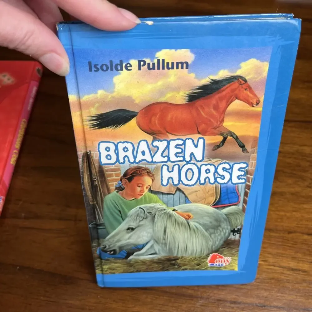 Pony Hardcover Chapter Books For Middle Grade Readers, Lot of 3, Horse Riding